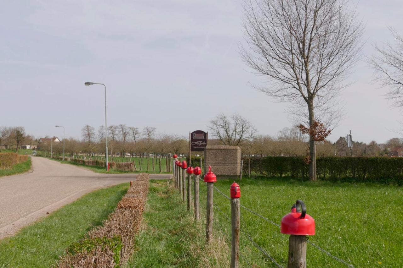 Meschermolen 9 Luaran gambar