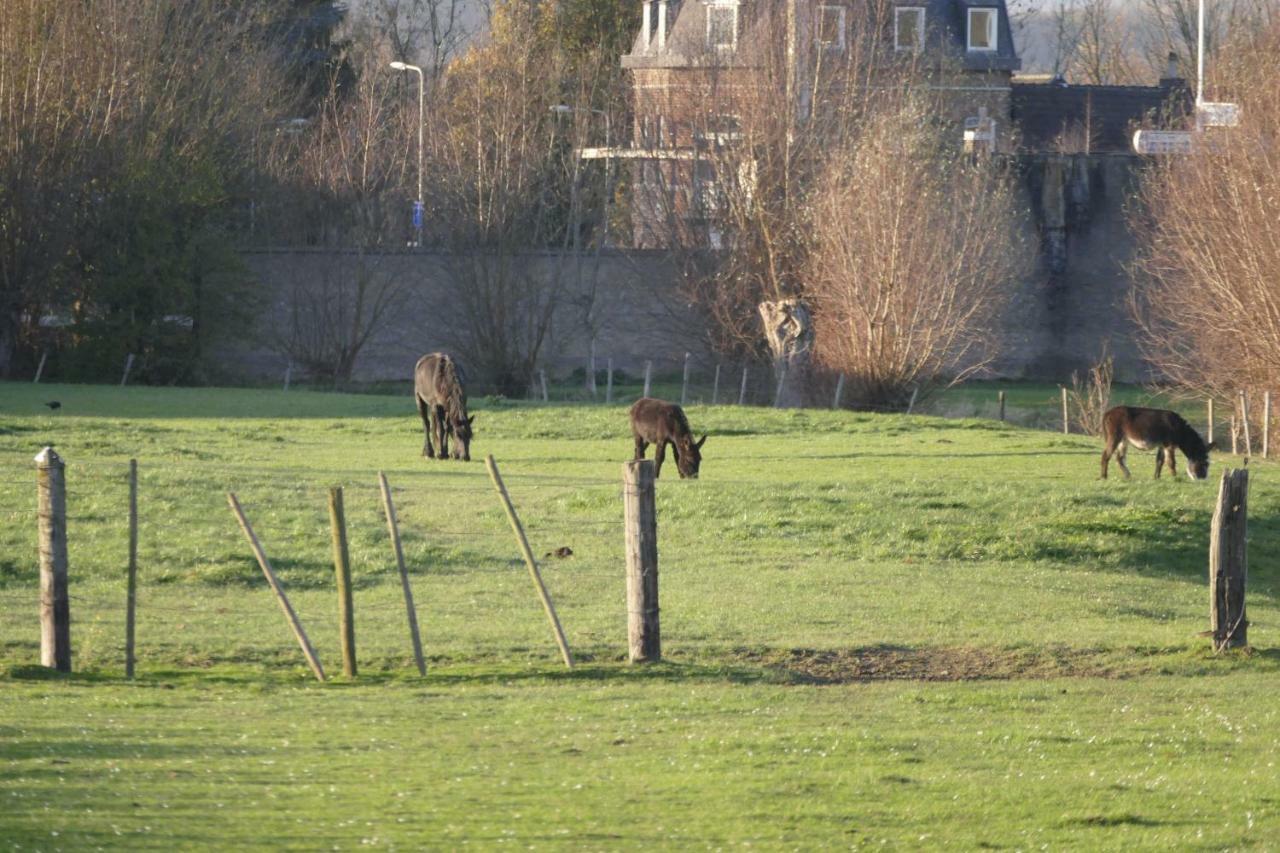 Meschermolen 9 Luaran gambar